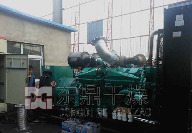 進(jìn)口康明斯發(fā)電機