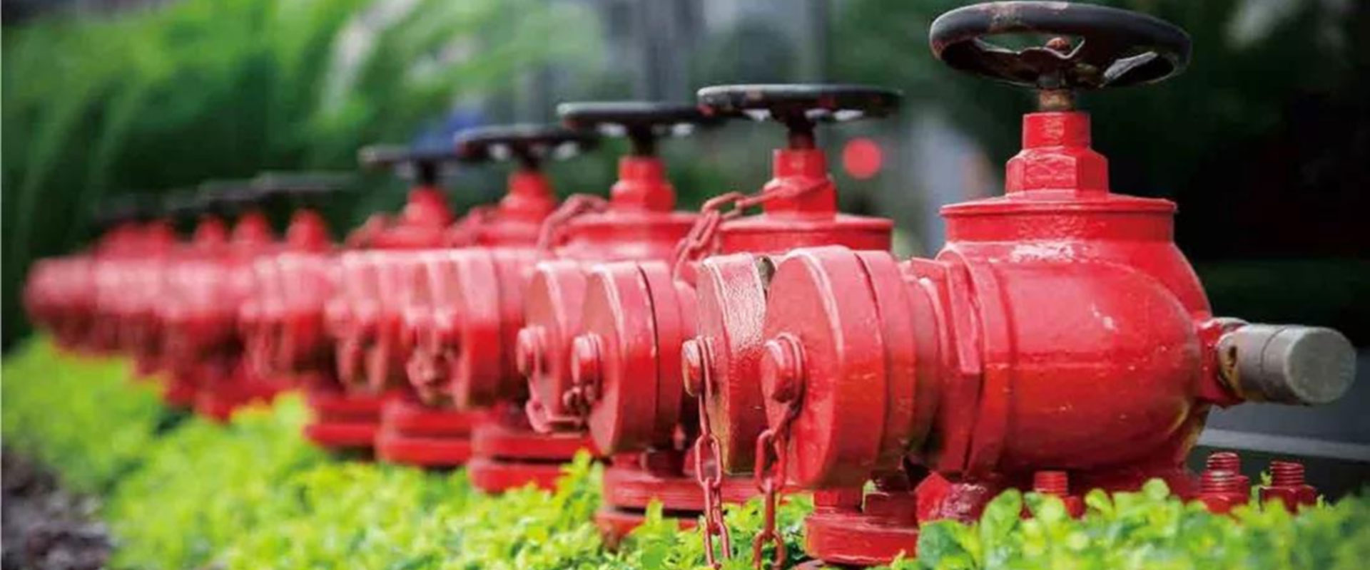 廈門(mén)消防維保